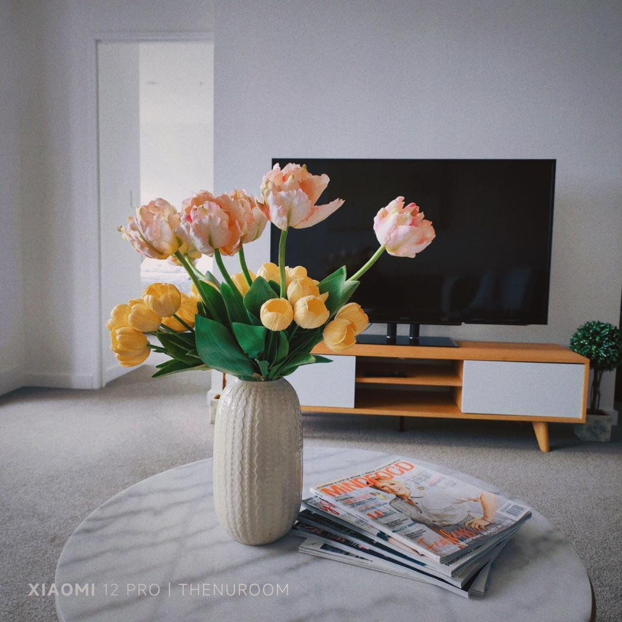 Auckland Birkenhead Bnb Exteriör bild